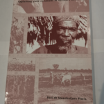 Diversity of Fields and Farmers : Explaining Yield Variations in Northern Cameroon – C.B. De Steenhuijsen Piters