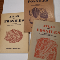 Atlas des fossiles. Fascicule I : Fossiles pr...