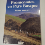 Promenades en pays basque – Miguel Angulo