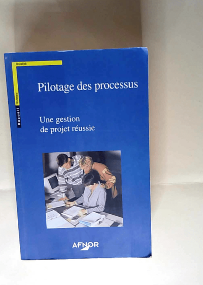 Pilotage Des Processus Une Gestion De Projet Réussie - Afnor