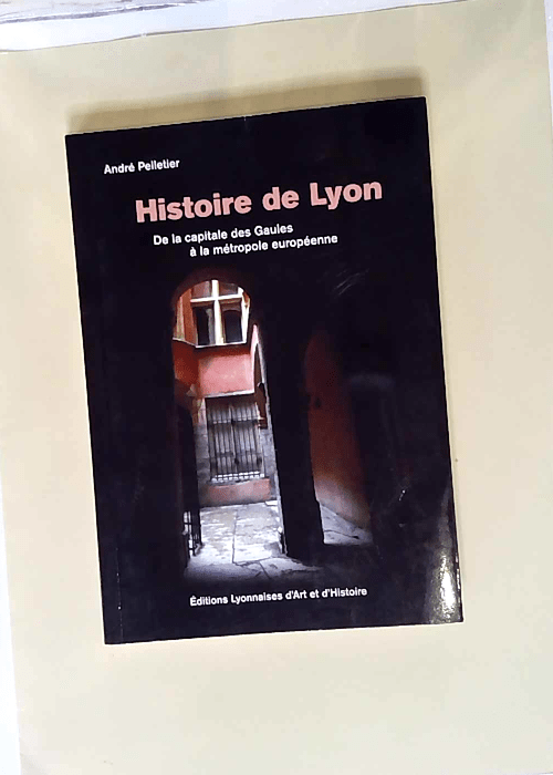 Histoire De Lyon De La Capitale Des Gaules À La Métropole Européenne – André Pelletier