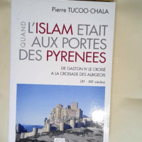 Quand l Islam était aux portes des Pyrénée...