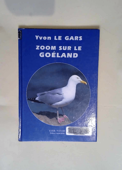 Zoom sur le goeland  - Yvon Le Gars