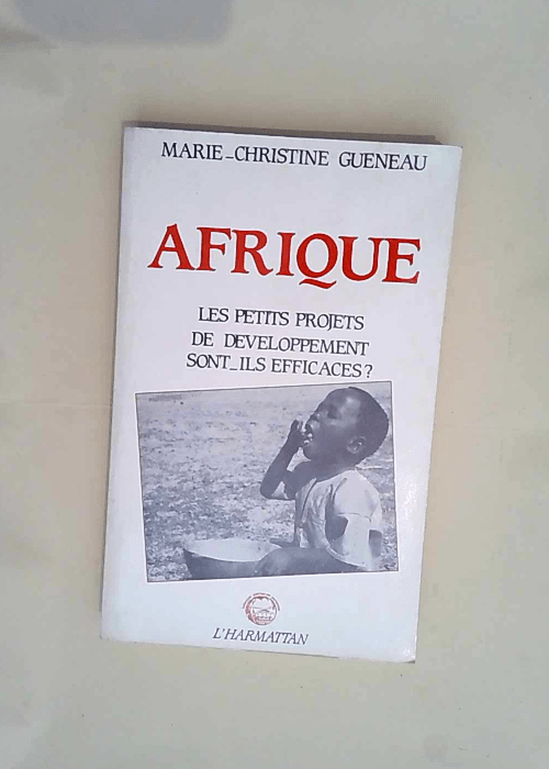 Afrique les petits projets de développement ...