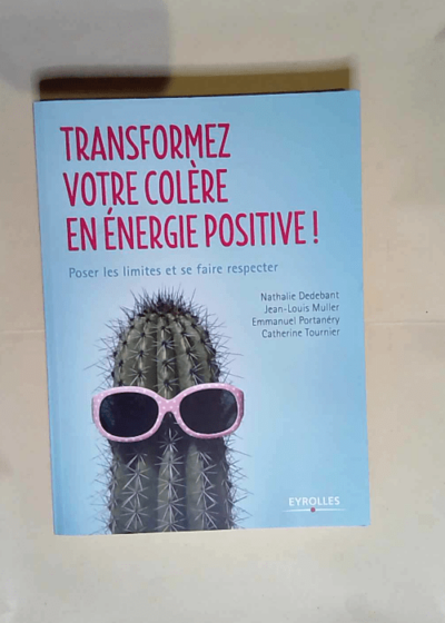 Transformez votre colère en énergie positive Poser les limites et se faire respecter. - Nathalie Dedebant