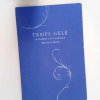 Temps Gele  – Thierry Acot-Mirande