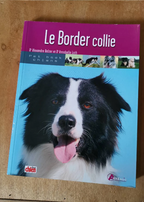 Le Border Collie – Balzer Alexandre