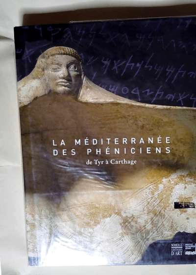 La Méditerranée des Phéniciens De Tyr à Carthage - Badr-Eddine Arodaky