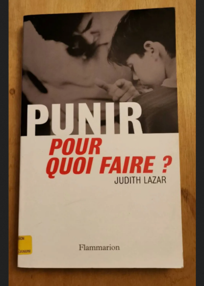 Punir Pour Quoi Faire ? - Lazar Judith