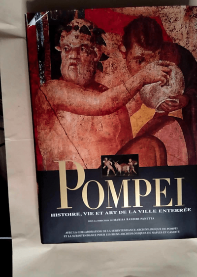 Pompeï Histoire vie et art de la ville enterrée - Marisa Ranieri Panetta