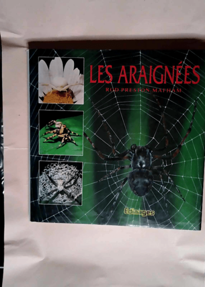 Les araignées  - BERLAND Lucien