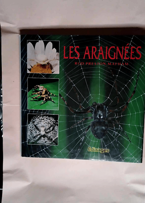 Les araignées  – BERLAND Lucien