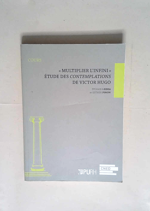 Multiplier l infini Etude des Contemplations de Victor Hugo – Sylvain Ledda