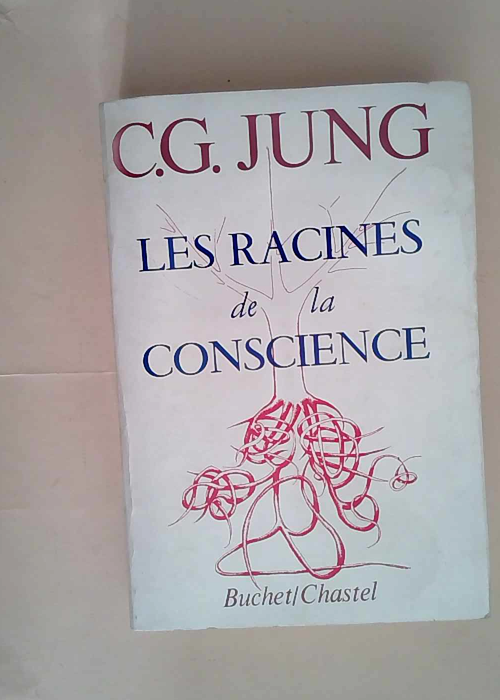 Les racines de la conscience Etudes sur l archétype (Archétypes en psychanalyse jungienne) – traduction Jung (Carl-Gustav)