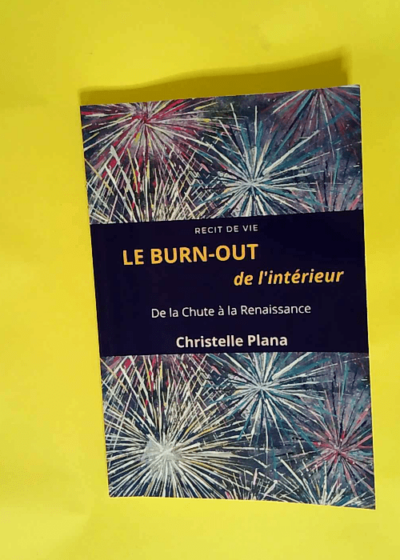 Le Burn-Out De L Interieur De la Chute à la Renaissance - Christelle PLANA