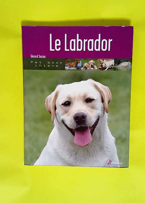 Le labrador  – Gérard Sasias