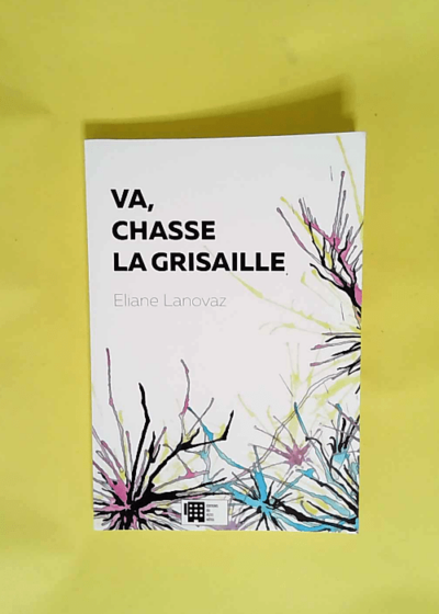 Va chasse la grisaille  - Eliane Lanovaz