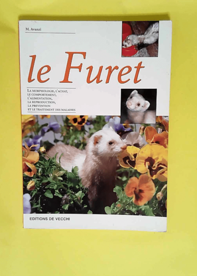 Le furet  - M Avanzi