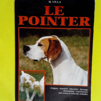 Le pointer  – M Villa