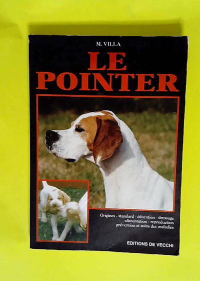 Le pointer  - M Villa