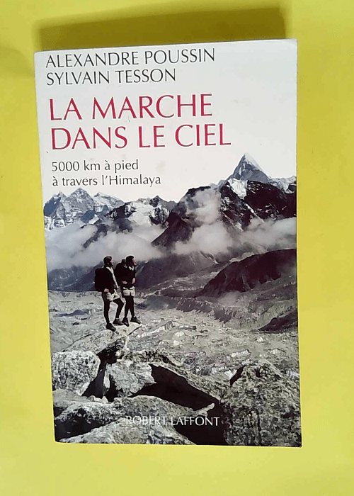 La marche dans le ciel  – Sylvain Tesson