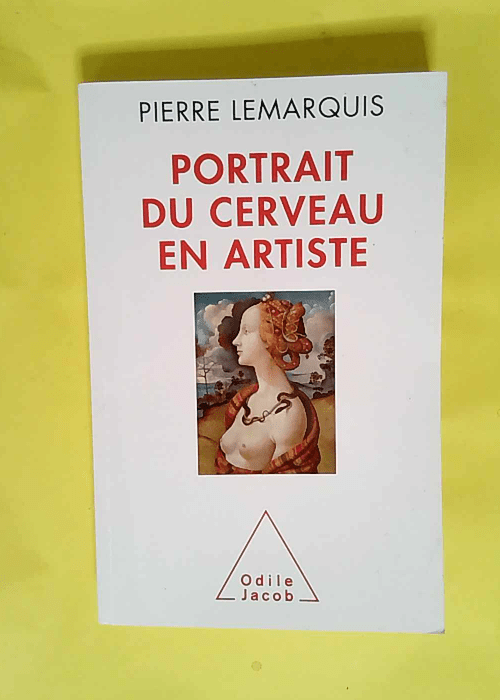 Portrait du cerveau en artiste  – Pierr...