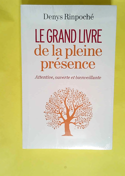 Le Grand Livre de la pleine présence Attentive ouverte et bienveillante – Denys Rinpoché