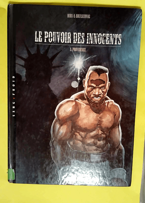 Le Pouvoir Des Innocents Cycle 1 Tome 3 – Providence – Brunschwig+Hirn