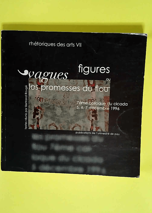 Vagues Figures Ou Les Promesses Du Flou  – Bertrand Rougé