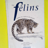 Les Felins  – Peter Kackson