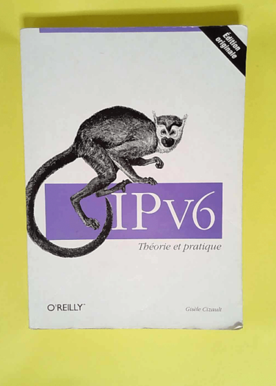 IPv6 Théorie et pratique - Gisèle Cizault