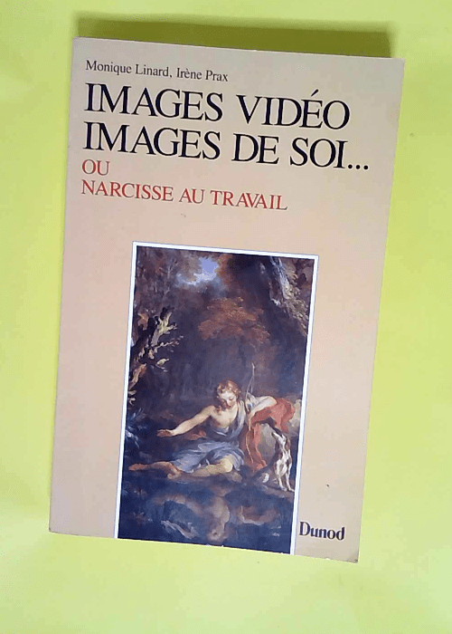 Images vidéo images de soi ou Narcisse au travail  – Linard