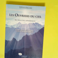 Les Ouvriers du ciel Au delà des apparences ...