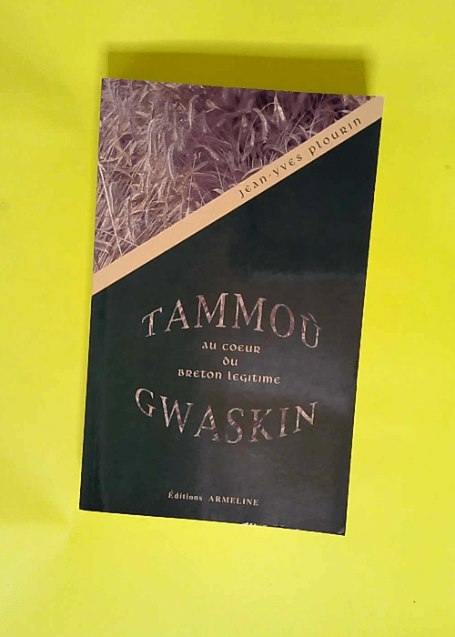 Tammoù Gwaskin Au coeur du breton légitime – Jean-Yves Plourin