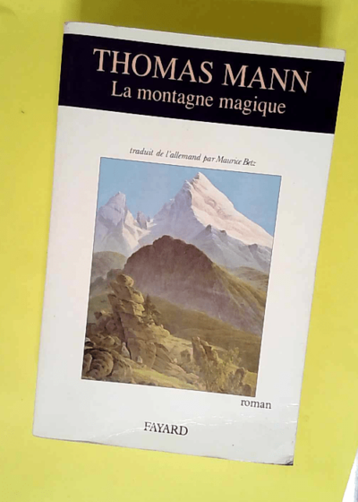 La Montagne magique  - Thomas Mann