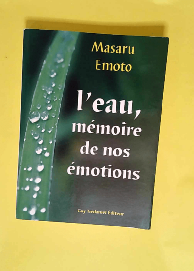 L eau Memoire de nos emotions - Masaru Emoto