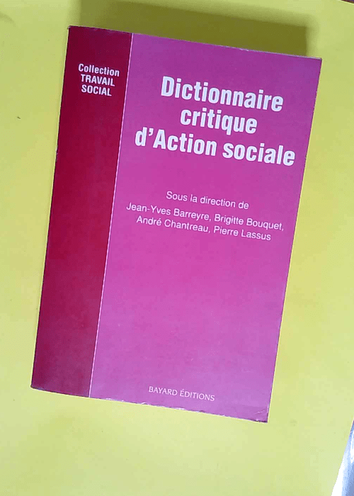 Dictionnaire critique d action sociale  – Brigitte Bouquet