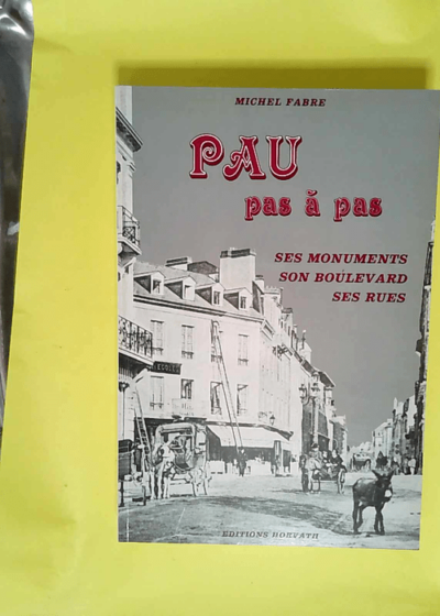 Pau pas a pas ses monuments son boulevard ses rues  - Michel Fabre