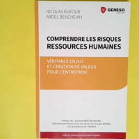 Comprendre Les Risques Ressources Humaines Veritable Enjeu Et Creation De Valeur Pour L Entreprise – Dufour/Bencheikh