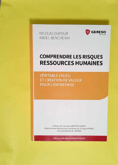 Comprendre Les Risques Ressources Humaines Veritable Enjeu Et Creation De Valeur Pour L Entreprise - Dufour/Bencheikh