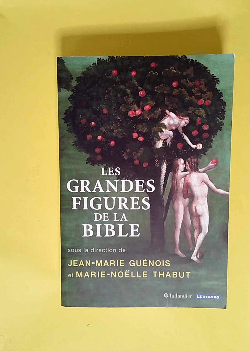 Les grandes figures de la Bible  – Mari...