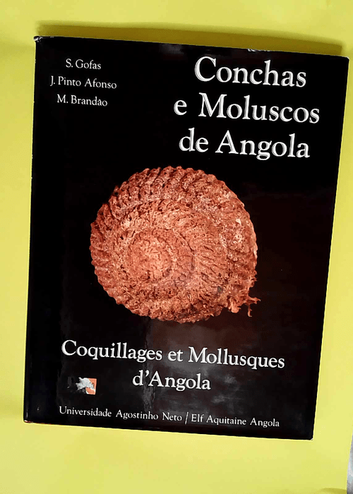 Conchas e Moluscos de Angola. Coquillages et Mollusques d Angola –