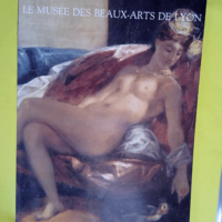 le musée des beaux arts de Lyon – Dure...