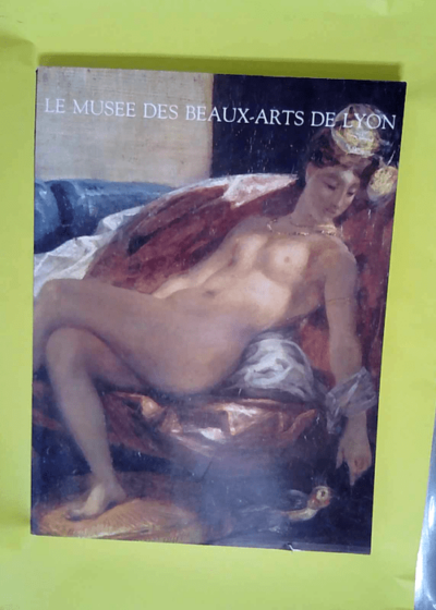 le musée des beaux arts de Lyon - Durey Philippe.