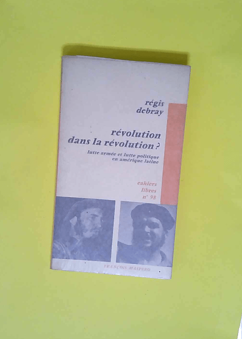 Révolution dans la révolution ? lutte armé...