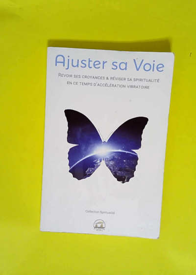 Ajuster sa voie Revoir ses croyances et réviser sa spiritualité en ce temps d accélération - Christel Seval