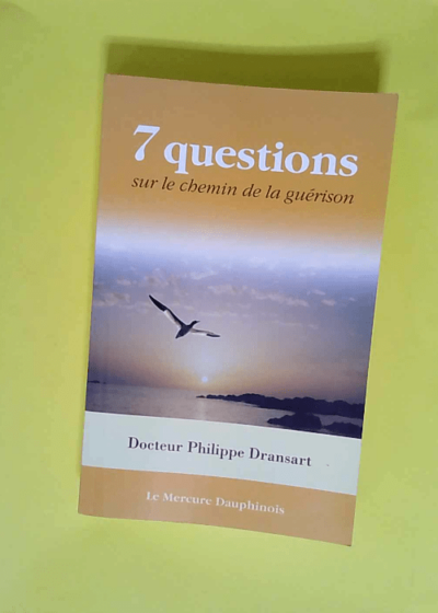 7 Questions Sur Le Chemin De La Guérison  - Philippe Dransart