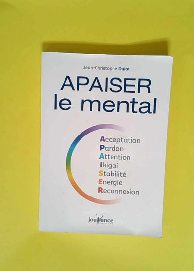 Apaiser le mental Acceptation pardon attention ikigai stabilité énergie reconnexion - Jean-Christophe Dulot