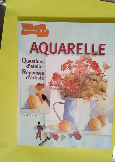 Aquarelle Questions d atelier réponses d artiste - David Norman