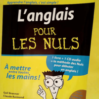 L Anglais Pour les Nuls  – Gail BRENNER